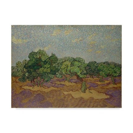 Trademark Fine Art Vincent Van Gogh 'Olive Trees' Canvas Art, 24x32 BL01957-C2432GG